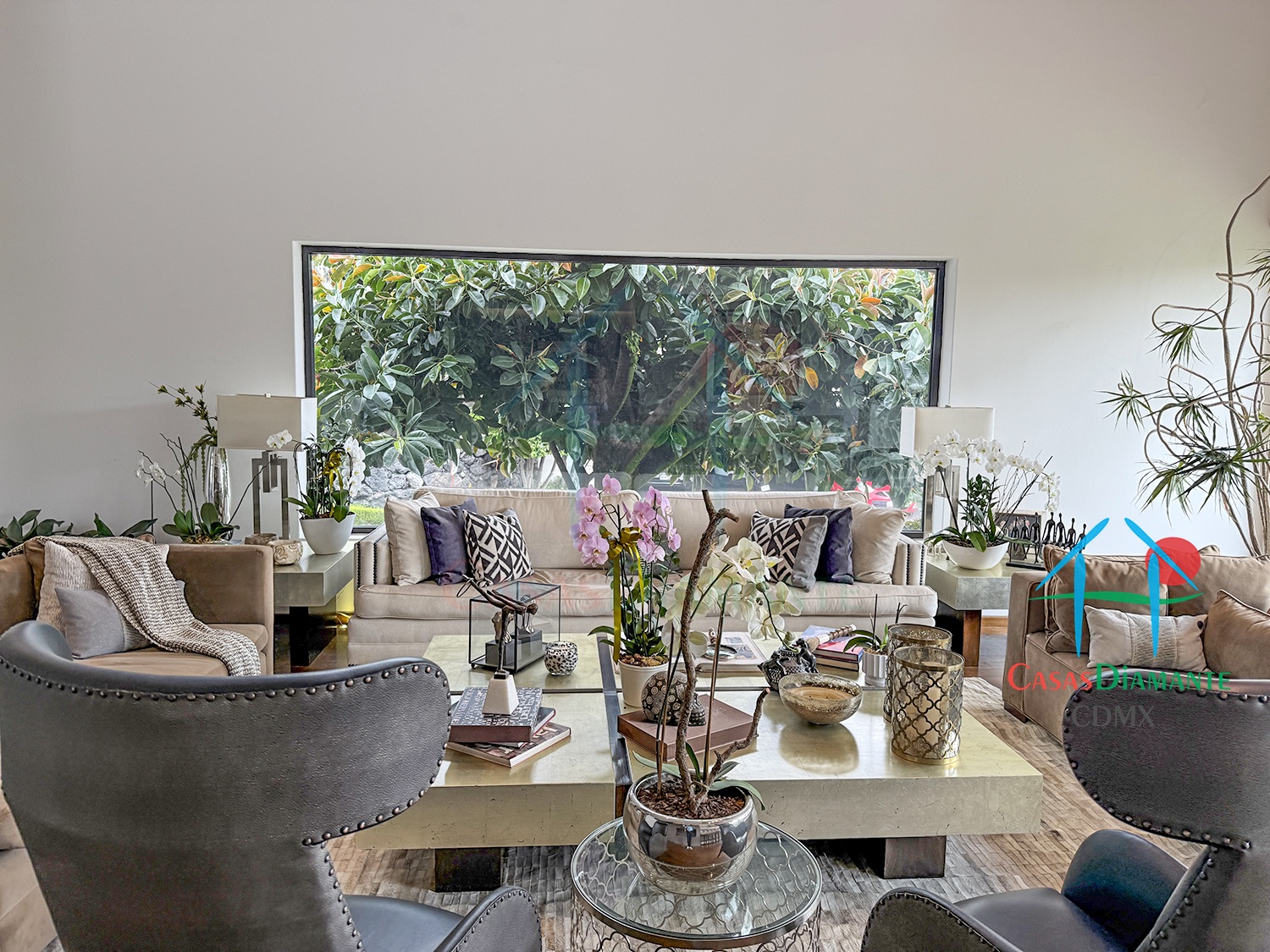 Jardines del Pedregal Casa Árbol B - Sala 4